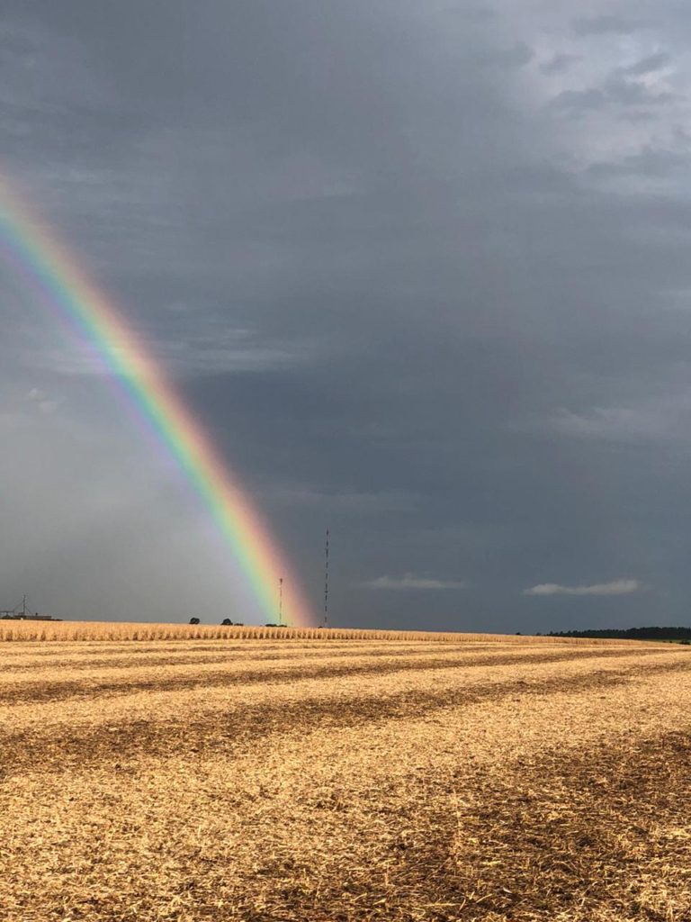 soybean field rainbow